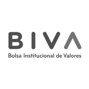 biva Icon