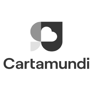 cartamundi Icon